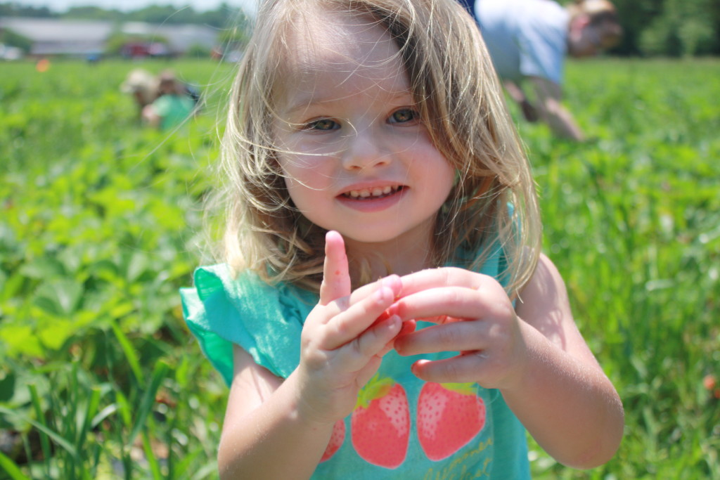 Spring Family Fun: Strawberry Picking || Sarah Sofia Productions