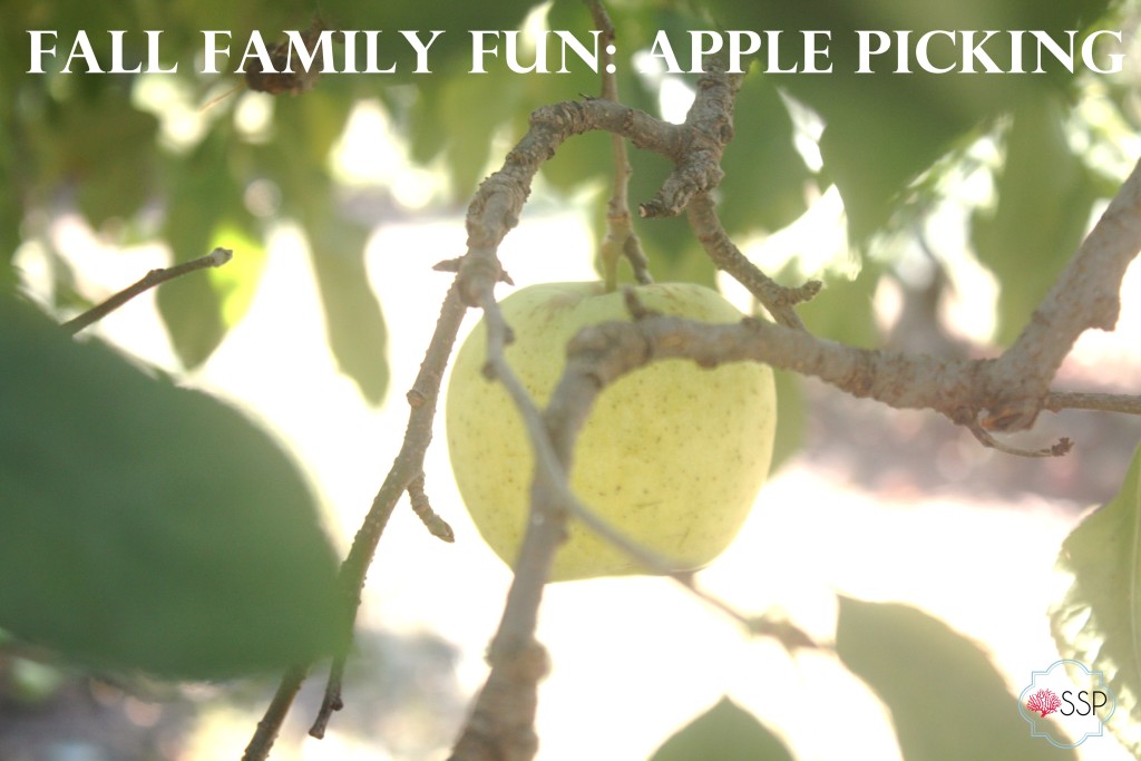 Fall Family Fun: Apple Picking || Sarah Sofia Productions