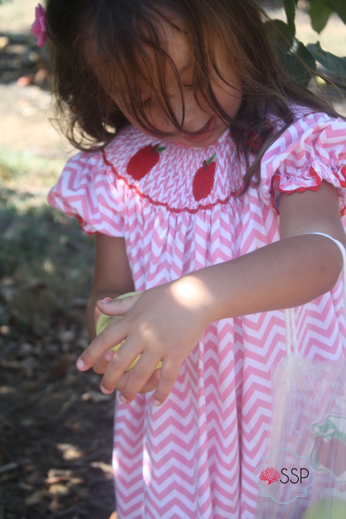 Fall Family Fun Apple Picking || Sarah Sofia Productions