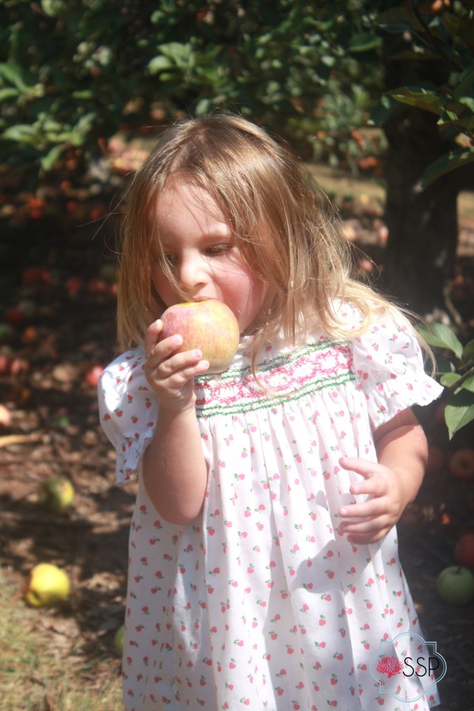 Fall Family Fun: Apple Picking || Sarah Sofia Productions