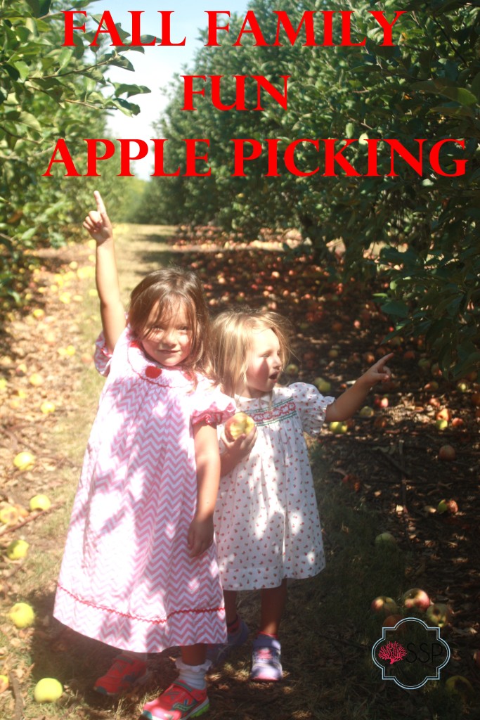 Fall Family Fun: Apple Picking || Sarah Sofia Productions