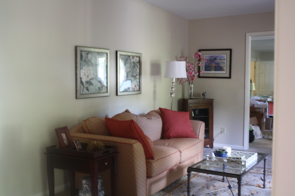 Living Room Refresh || Sarah Sofia Productions