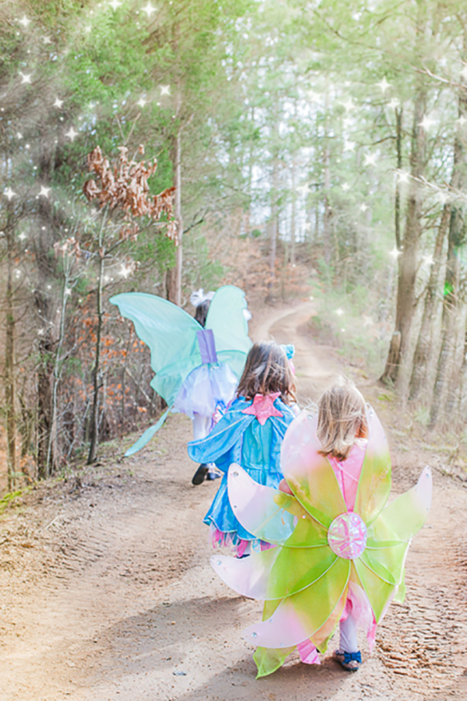 Fairies Unicorns and Rainbows Party via Sarah Sofia Productions