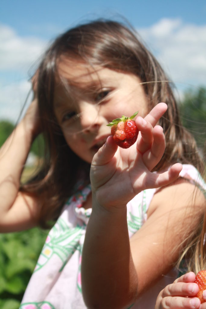 Spring Family Fun Strawberry Picking via Sarah Sofia Productions