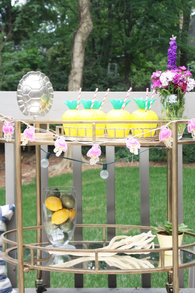 Summer Scape and Party Inspiration via Sarah Sofia Productions