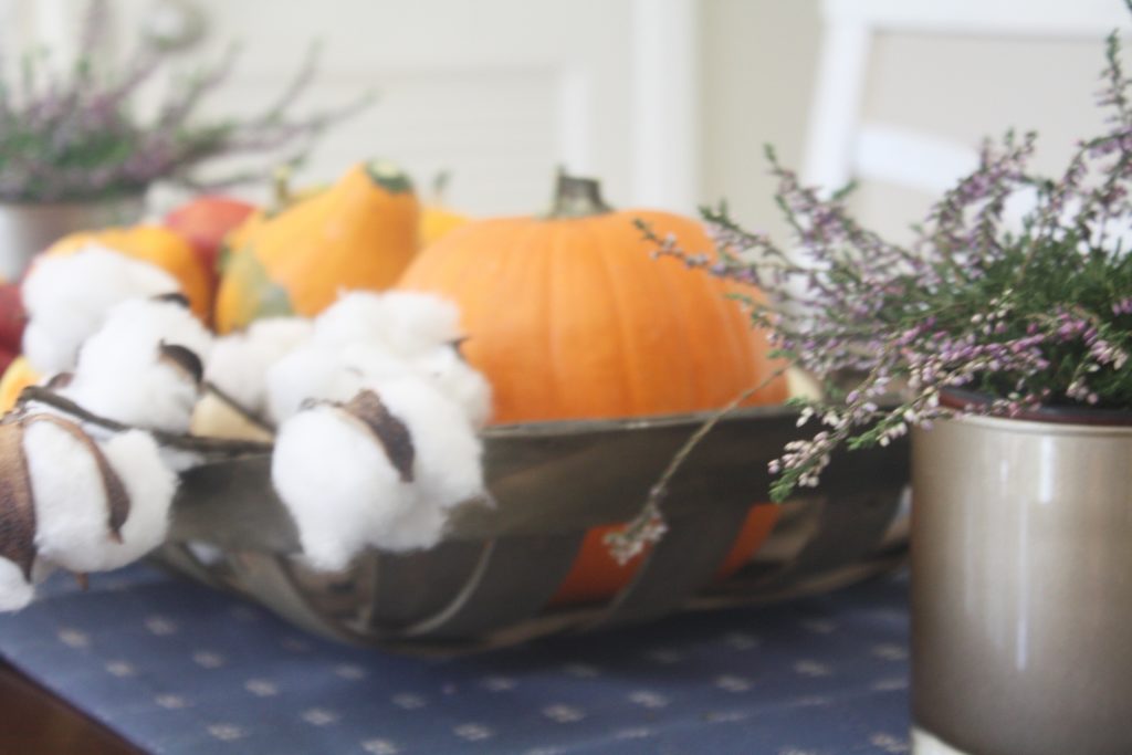 Fall Seasonal Scape and Entertaining via Sarah Sofia Productions