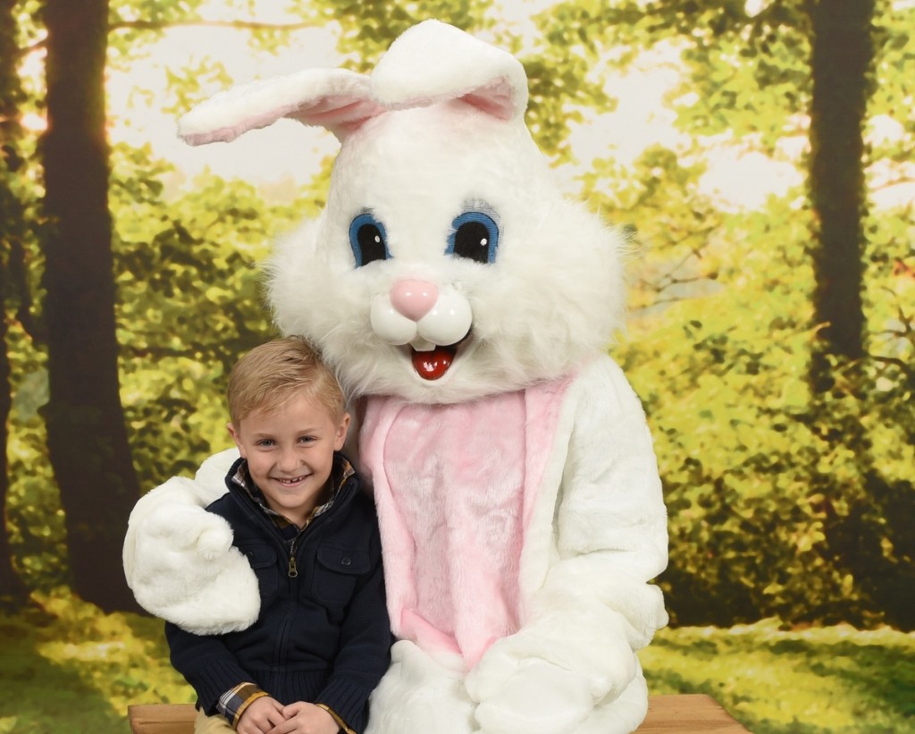Free Easter Bunny Photos