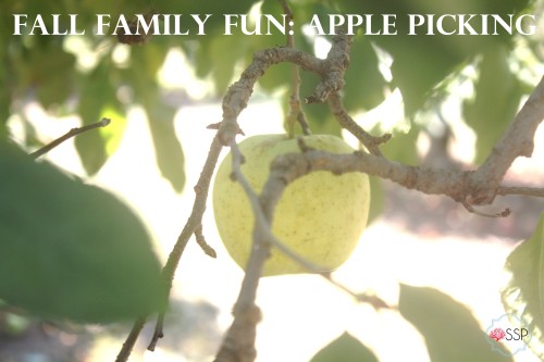 Fall Family Fun: Apple Picking
