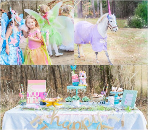 Fairies, Unicorns and Rainbows Party